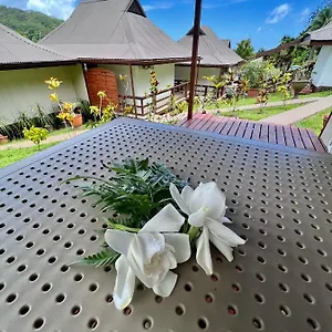 https://rupe-rupe-lodge.frenchpolynesia-hotels.com